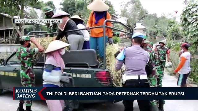 TNI Polri Beri Bantuan Pada Peternak Terdampak Erupsi