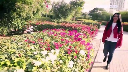 سهام الرشيدي..قصة كفاح مستمر يتكلل يومياً بالنجاح