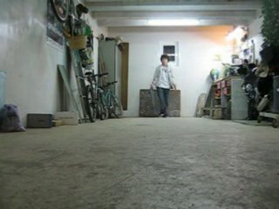bs halfcab heelflip