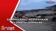 Sampah Berserakan di Pantai Seminyak, 4 Unit Alat Berat Dikerahan Bersihkan Kayu