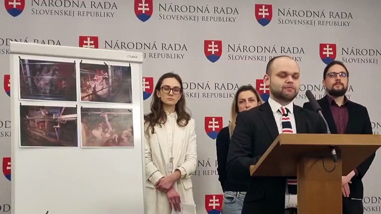 ZÁZNAM: Humánny pokrok: V krajinách bez klietkového chovu stoja vajcia menej ako u nás