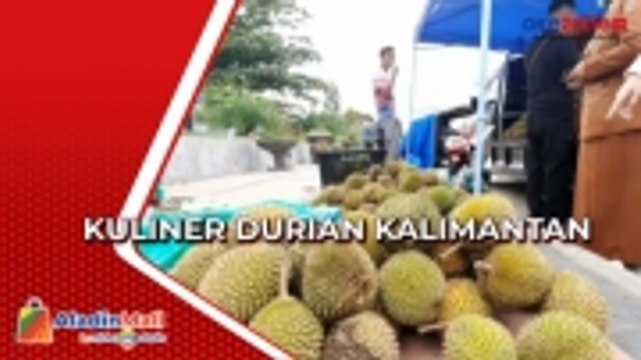 Legitnya Durian Kalimantan Pinggiran di Pangkalan Bun, Rp50 Ribu Dapat 3