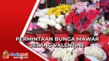 Jelang Hari Valentine, Permintaan Bunga Mawar Kebanjiran Orderan