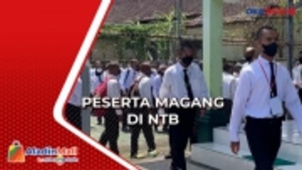 Kemnaker Tinjau Peserta Magang ke Jepang di NTB