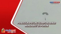 Penerjun Korps Marinir Mendarat di Pohon Milik Warga