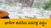 వికారాబాద్: వడగండ్ల వాన.. మంచుతో నిండిపోయిన రోడ్లు