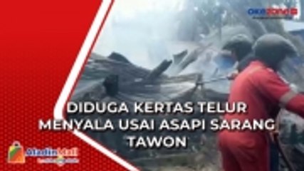 Ruko dan 2 Rumah Terbakar di Tarakan Usai Asapi Sarang Tawon