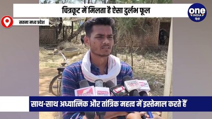 चित्रकूट के जंगल में मिलता है पीले रंग का दुर्लभ पलाश का फूल, जिसे रखने से खजाना खाली नहीं होता