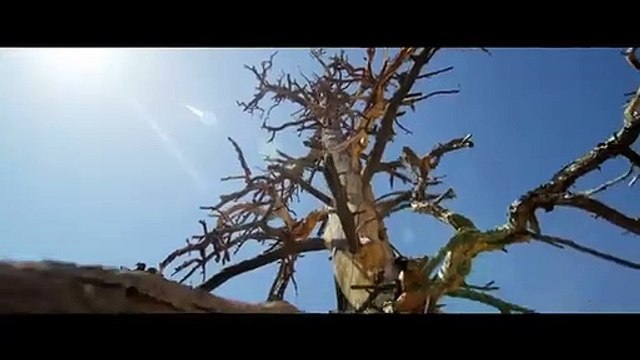 ENTA HABIBI | Rahim Pardesi ft Natalia Itani ( OFFICIAL SONG ) | PS Records