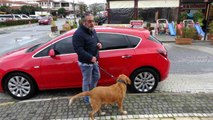 Antalya'da Alman vatandaşı bu kez de köpekle birlikte otomobili çaldı