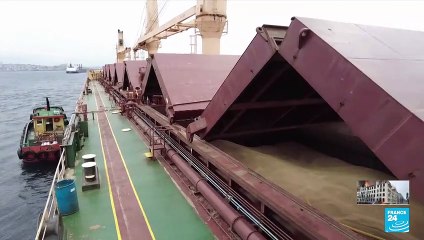 Russia says 60-day extension of wartime grain deal acceptable