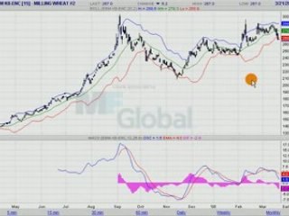 BLE MEUNIER EURONEXT 21.03.08