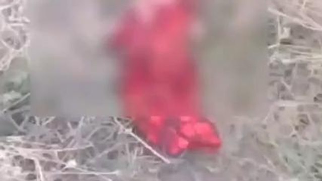 पन्ना: निर्दयी मां की करतूत,झाड़ियों में छोड़ा नवजात शिशु,रोंगटे खड़े कर देगा ये VIDEO