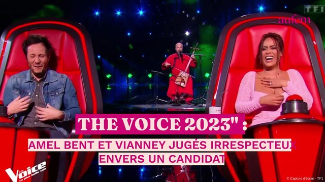 The Voice 2023 : Amel Bent et Vianney jugés irrespectueux envers un candidat