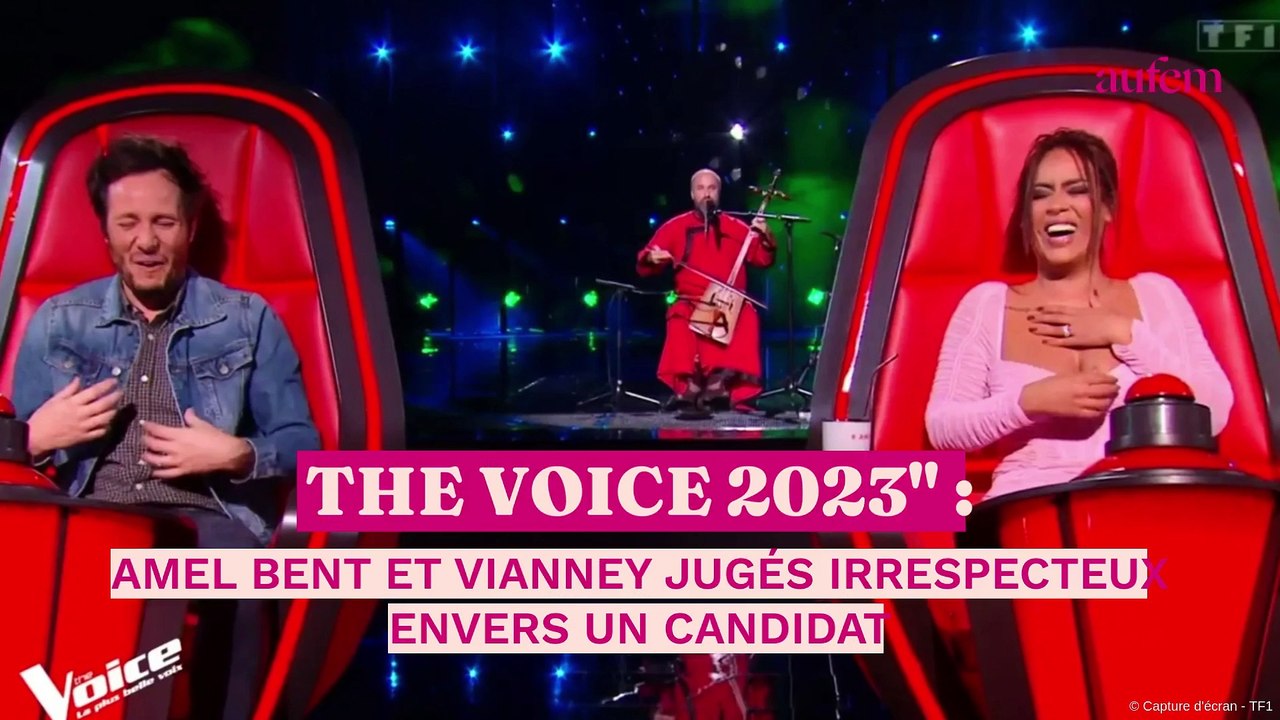 The Voice 2023 : Amel Bent et Vianney jugés irrespectueux envers un candidat