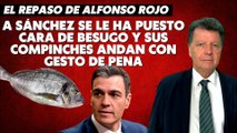 Alfonso Rojo: “A Sánchez se le ha puesto cara de besugo y sus compinches andan con gesto de pena”