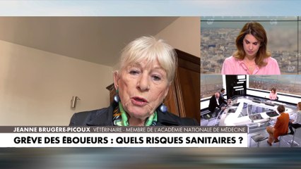 Jeanne Brugère-Picoux : «Le risque est surtout celui de la leptospirose (maladie du rat)»