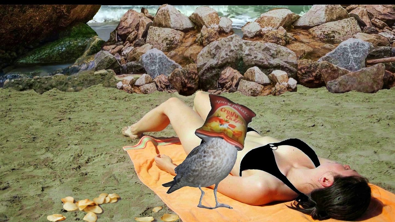 Gull steals chips - head stuck