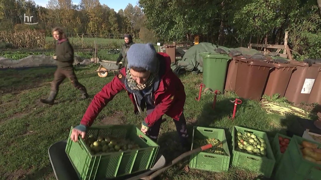 Die Gemüseretterin | Doku HD