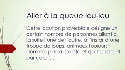 23)  Aller à la queue leu-leu. Proverbe Français, expression populaire.