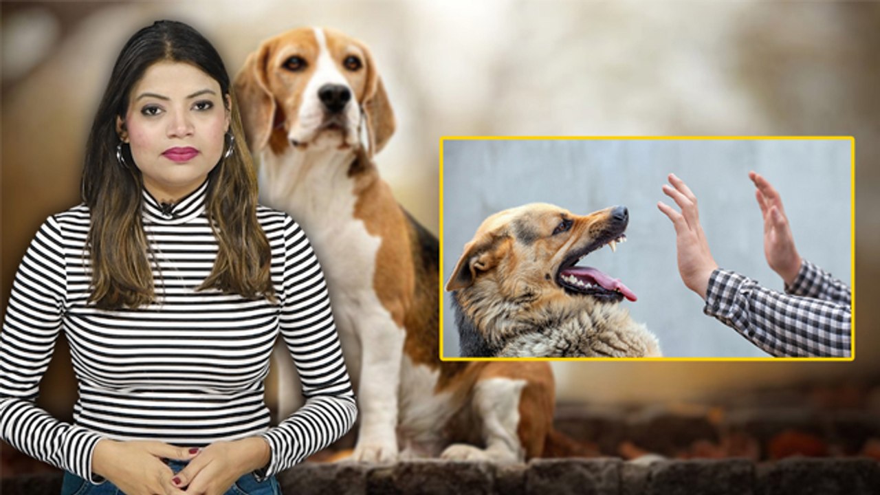Dogs से डर लगना Cynophobia Syndrome Symptoms, क...