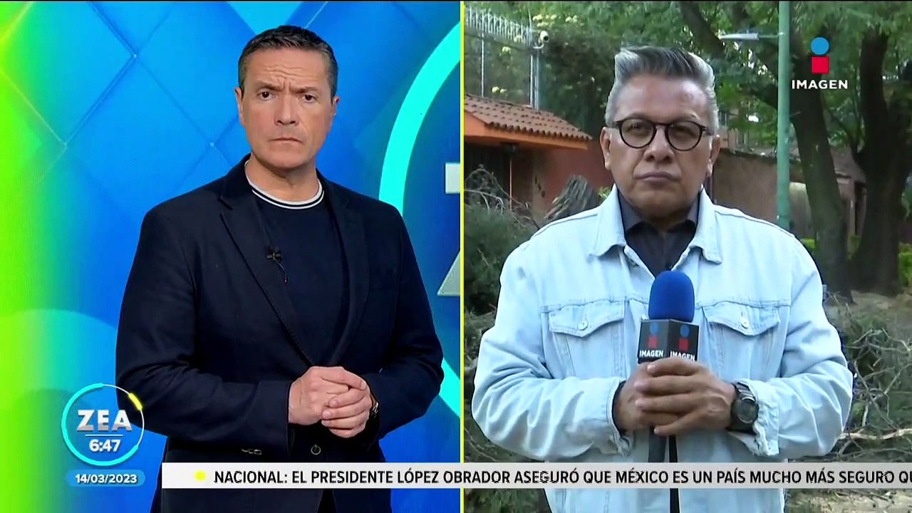 Fuertes vientos tiran árbol en la Col. Del Carmen, alcaldía Coyoacán