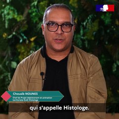 Histologe : Présentation des vœux 2023 du PNLHI et d'Histologe le 28 décembre 2022
