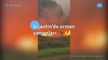 Arjantin’de Orman Yangınları