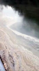 Paderno d'Adda: spunta una schiuma maleodorante nel naviglio