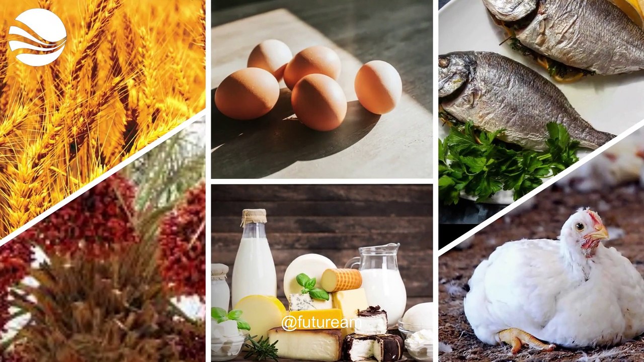 Unveiling Saudi Arabia's Mind Blowing Scientific Breakthrough That Stunned American Scientists