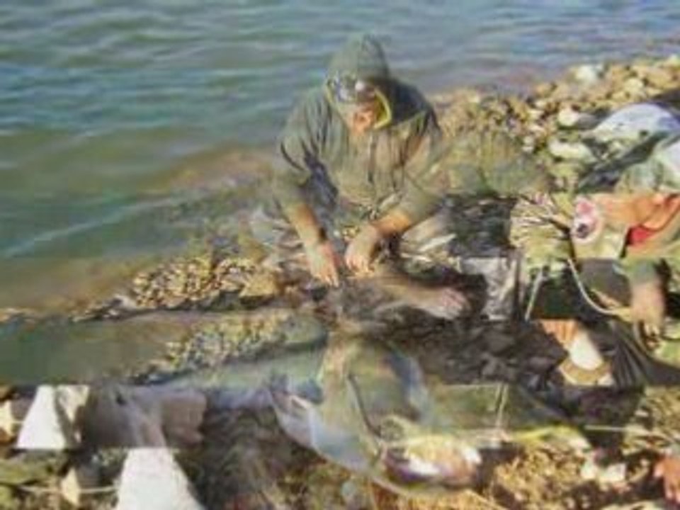 PESCADORES