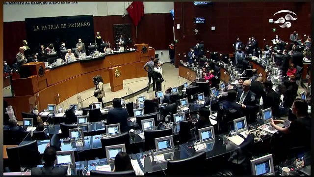 ¡VEAN! ¡Salgado Macedonio despedaza a Dante Delgado por traicionar a AMLO!