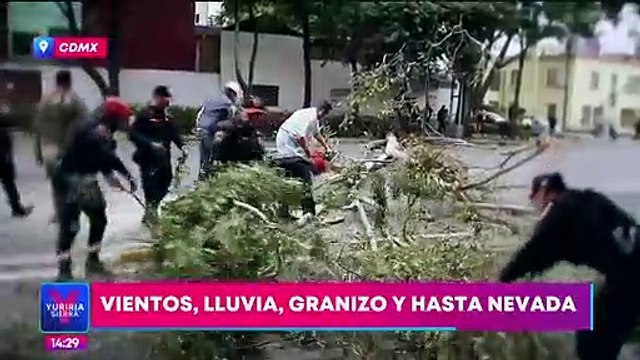 Frente frío número 39 provoca vientos, lluvia y granizo en México
