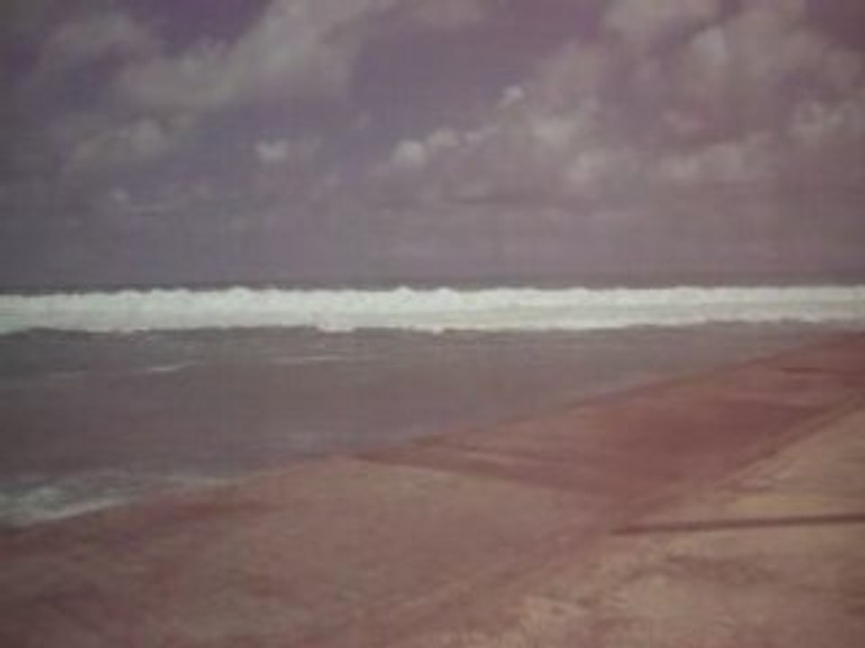 Houle a moule