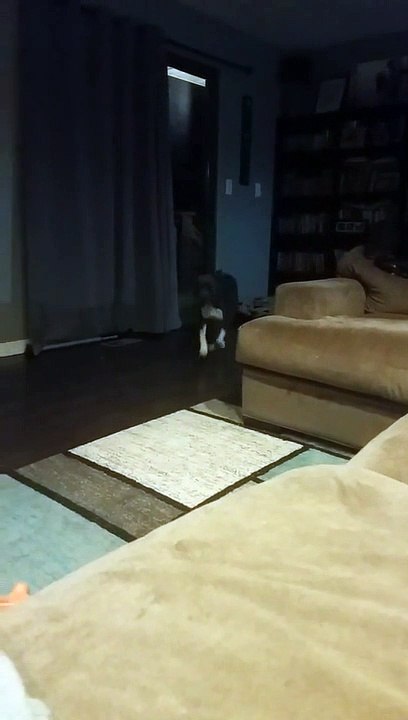 You Wanna Go for a Walk?
