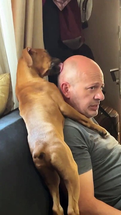 Puppy Cleans Bald Head