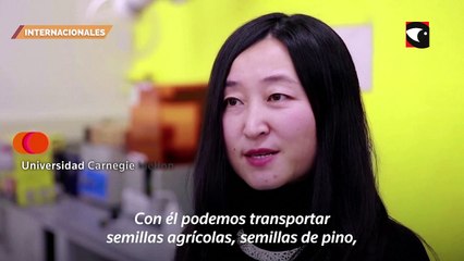 Científicos desarrollaron un semillero aéreo llamado E-seed para la siembra automática