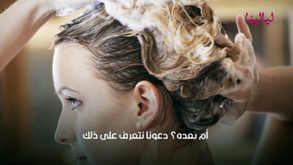 غسل الشعر قبل الزيت