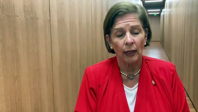 Diputada Pilar Cisneros