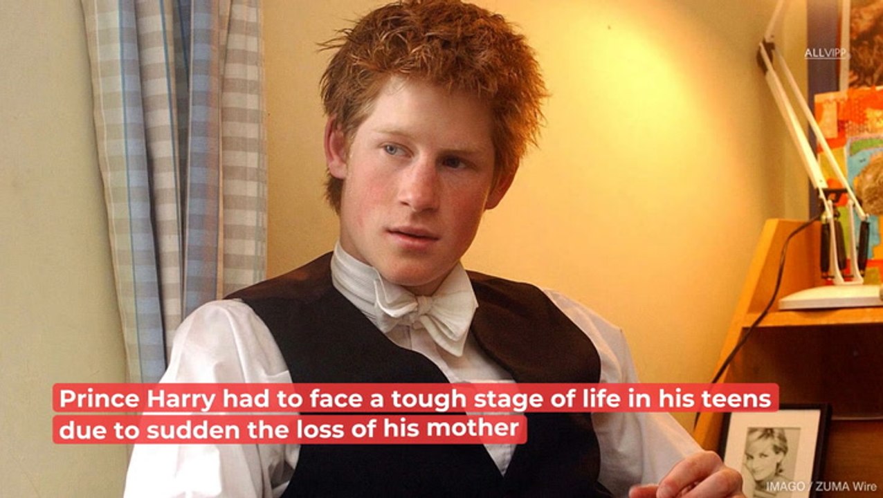 The Time Prince Harry Went To Rehab video Dailymotion