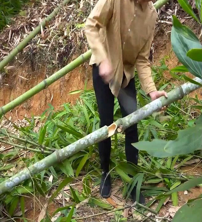 Membuat Gubug menggunakan bambu