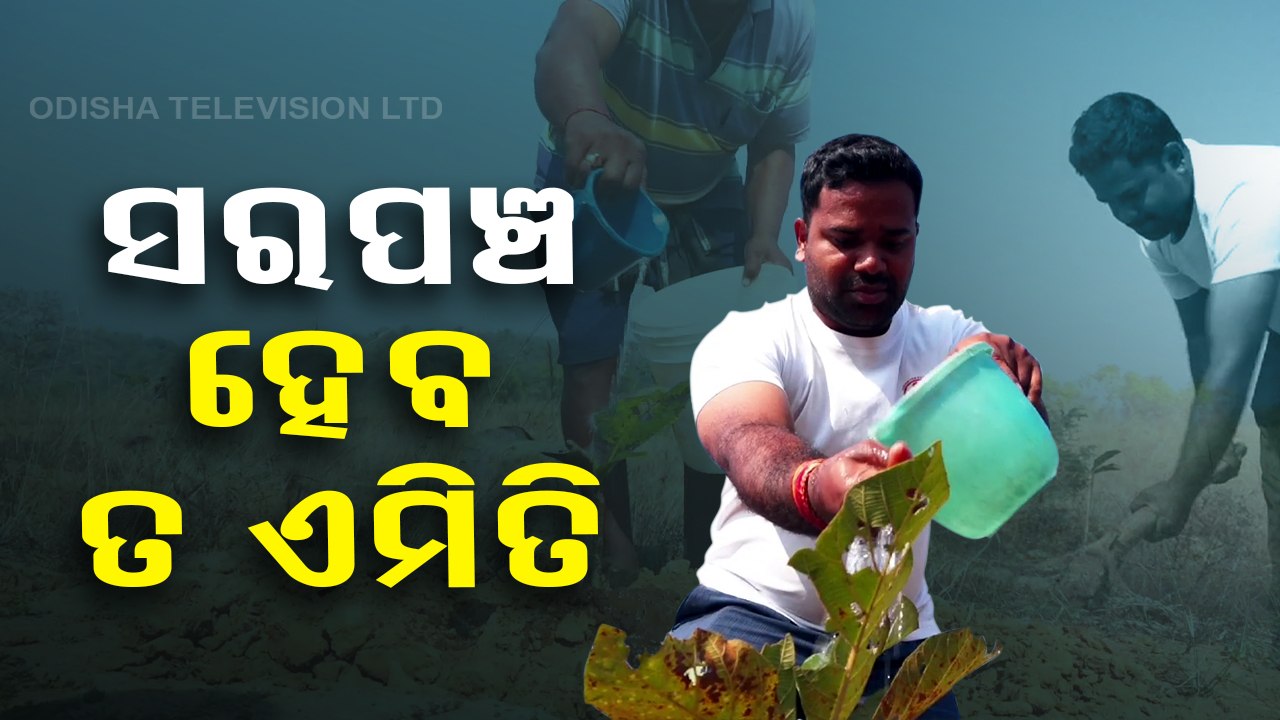 This sarpanch in Nayagarh joins hands with locals to turn field into forest