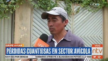 Pérdidas cuantiosas en el sector avícola