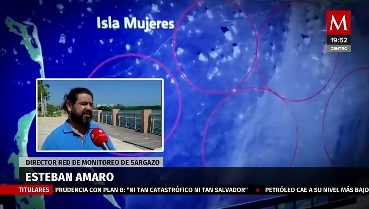 Crean semáforo para indicar las playas qué están libres de sargazo | Milenio Hábitat