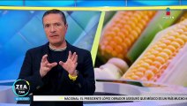 México elimina el uso del maíz transgénico, pero permite su utilización para el forraje