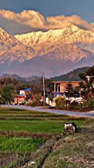 Kangra | Dharamshala Guide