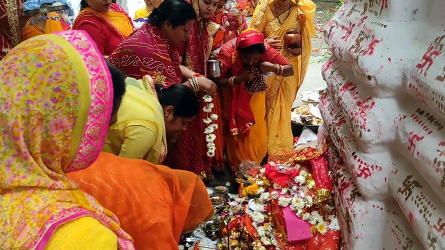 Video...शीतला अष्ठमी पर्व पर शीतला माता की पूजा कर घर में सुख समृद्धि की कामना की