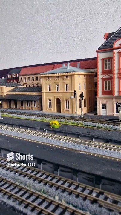 Schnellbremsung am Bahnhof