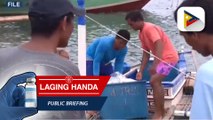 Karagdagang cold storage facilities para walang masayang na huling isda, ipinag-utos ni PBBM