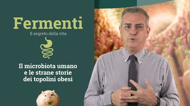 Fermenti. Il Segreto della Vita : sovrappeso, obesità e microbiota intestinale